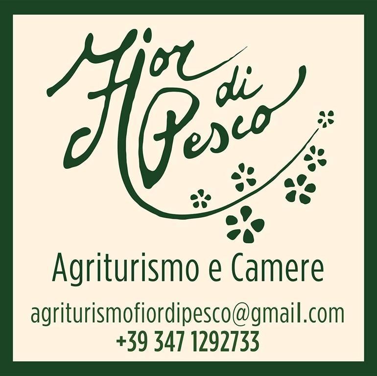 Отель Agriturismo Fior Di Pesco Соммакампанья Экстерьер фото
